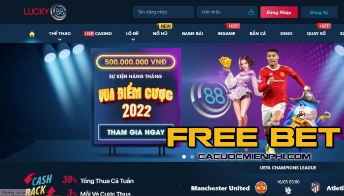Hướng dẫn kiểm tra thông tin 58Win